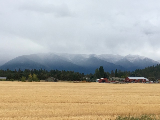 Stormy Weather