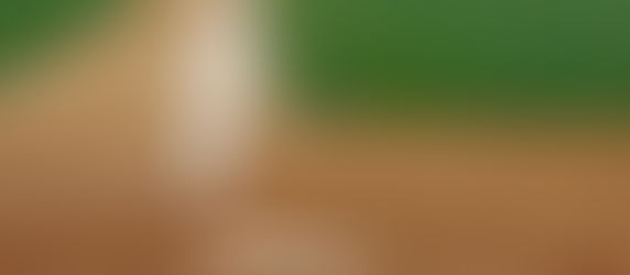 Stepping Up to the Plate with Chiropractic Care