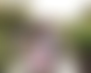 Mini Sessions| 2020 Creek Minis | Graham/ Burlington/ Saxapahaw North Carolina Child and F