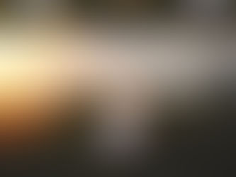 Child | Sunflowers and Family Time | Burlington North Carolina Child and Family Photograph