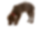 depositphotos_21360039-stock-photo-chocolate-lab-puppy-sniffing-removebg-preview.png