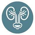 icons (9).png