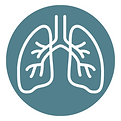 icons (8).png