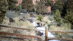 Colorado, U.S.