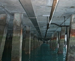 Under wharf site visit