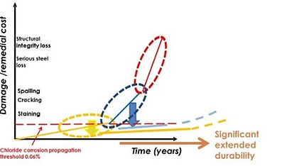 Damage and costs over time model