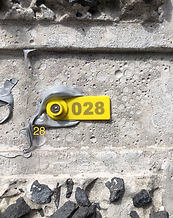 tagging for test analysis reference point