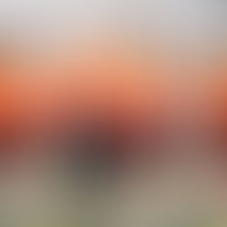 Week 5: Seattle Tempest @ Utah Wild