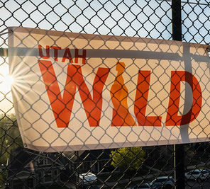 Wild 2026 Season: A Look at the Team Leaders