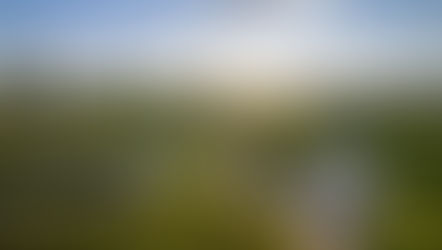 World Climate Foundation: Delivering the Transition