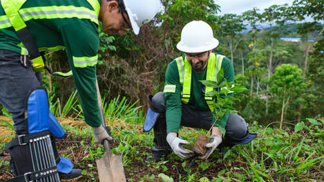 From Risk to Regeneration: Why Gold Mining is Examining Its Relationship with Nature