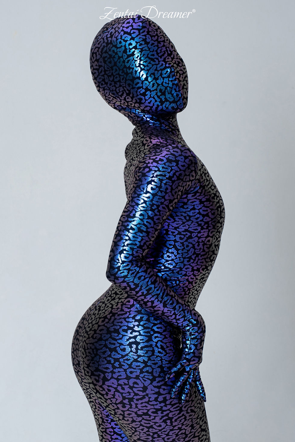 サムネイル： ZD27 Lighting Leopard Zentai (Fix size / customize)