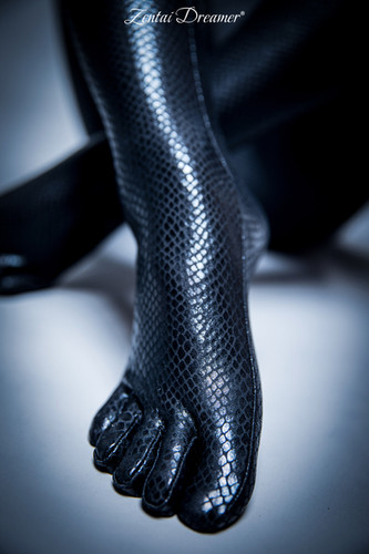 全身タイツ　ZentaiDreamer ブラック　Mサイズ　採寸不要　ゼンタイ 全身タイツ Zentai Dreamer ブラックマンバ サイズM 訳あり