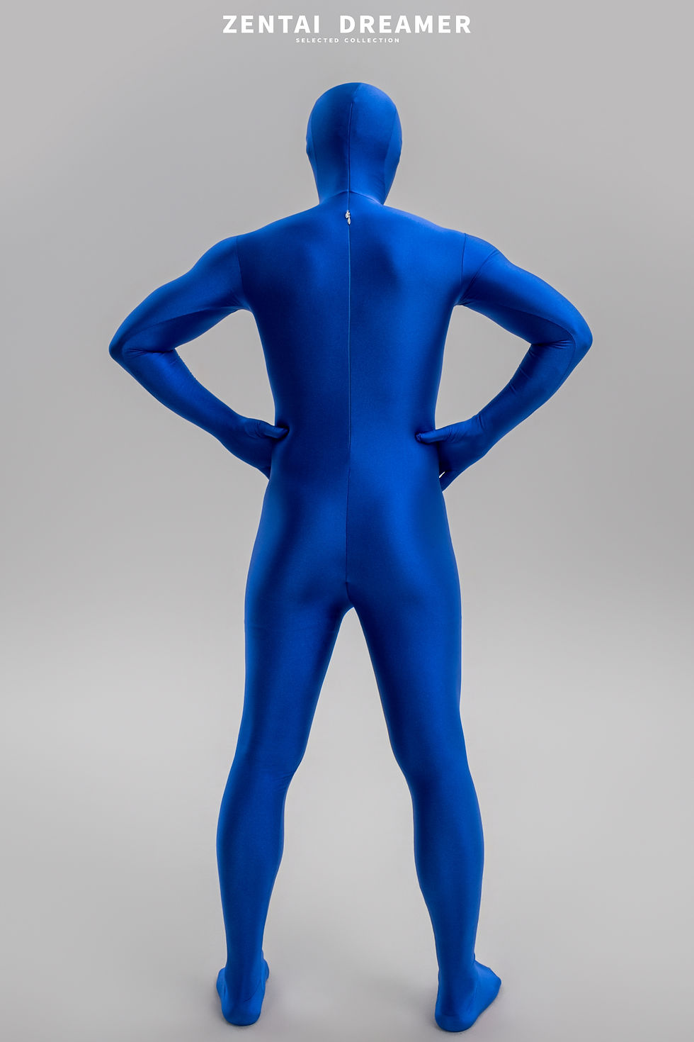 縮圖：ZD33 Classic Lycra Zentai