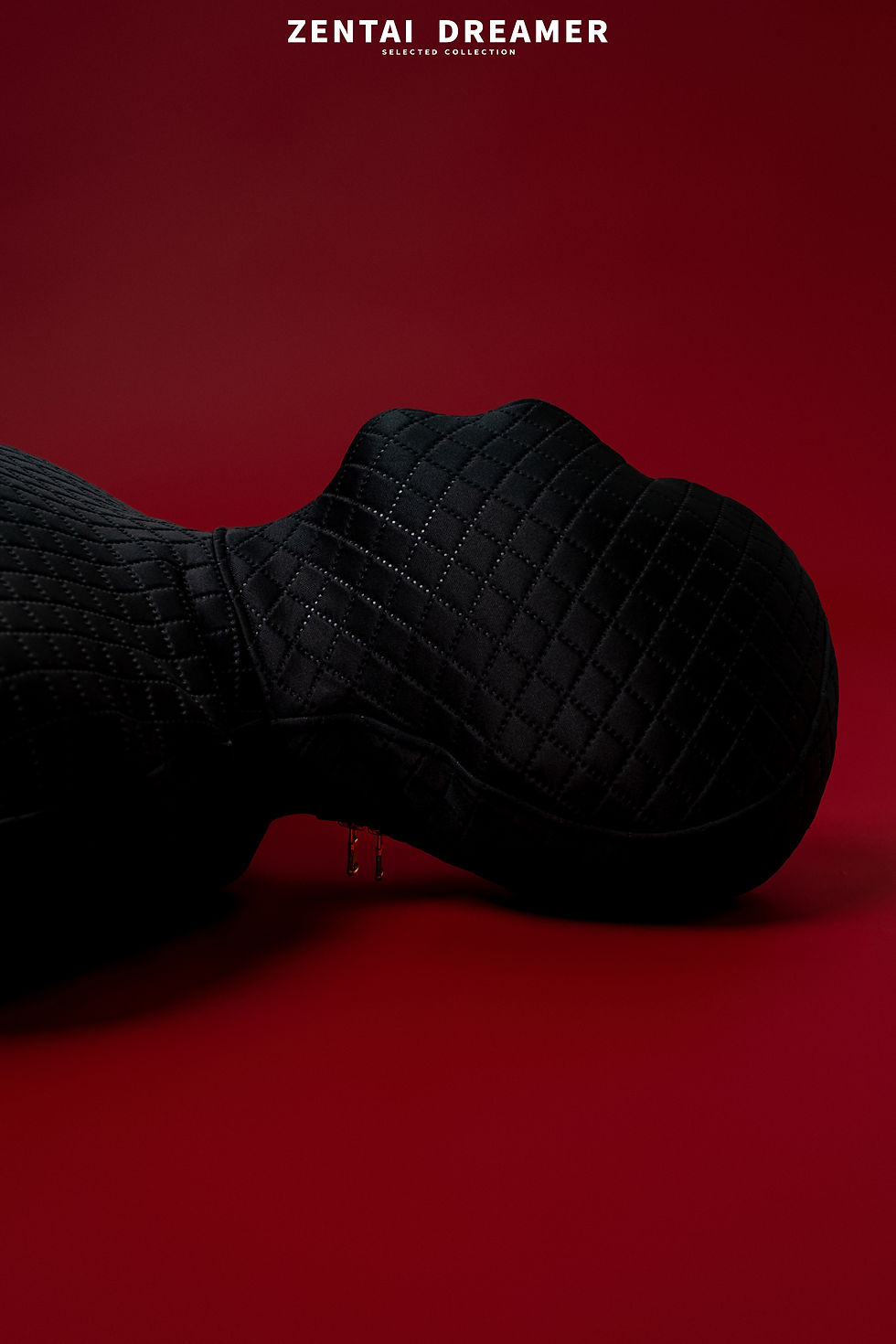 サムネイル： ZD High-End Custom Sleeping Bag by ZentaiDreamer