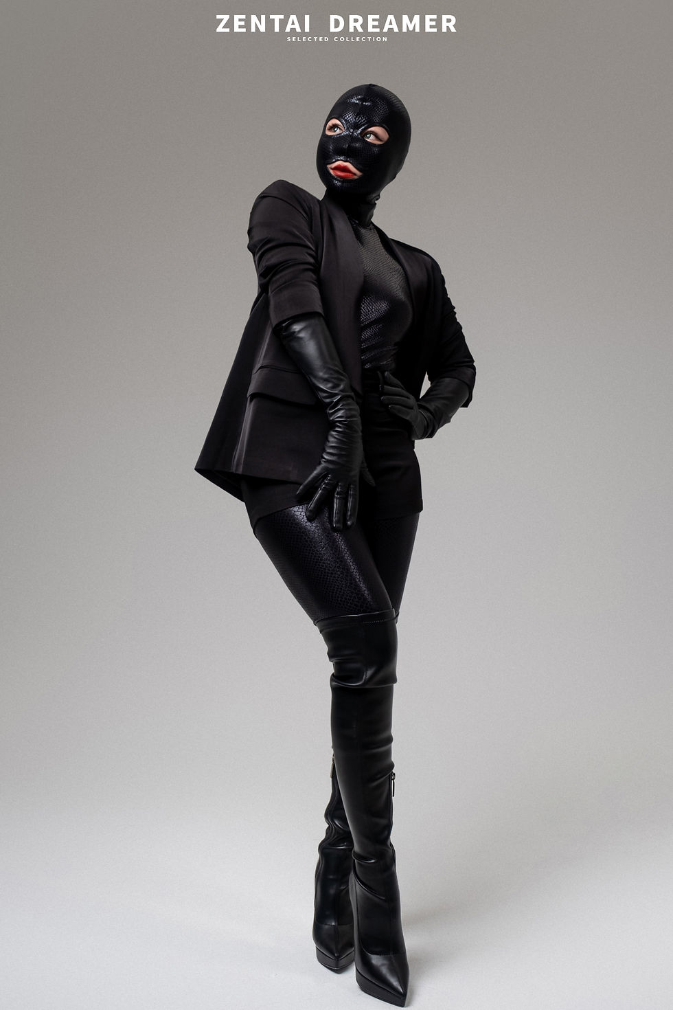 縮圖：ZD-H1 Customized Stylish Standalone Hood by ZentaiDreamer