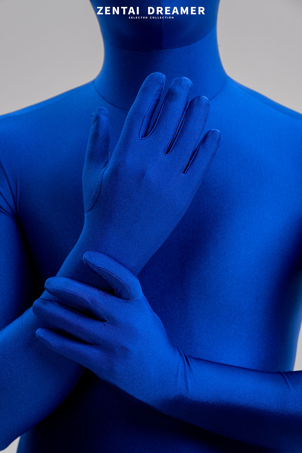 縮圖：ZD33 Classic Lycra Zentai