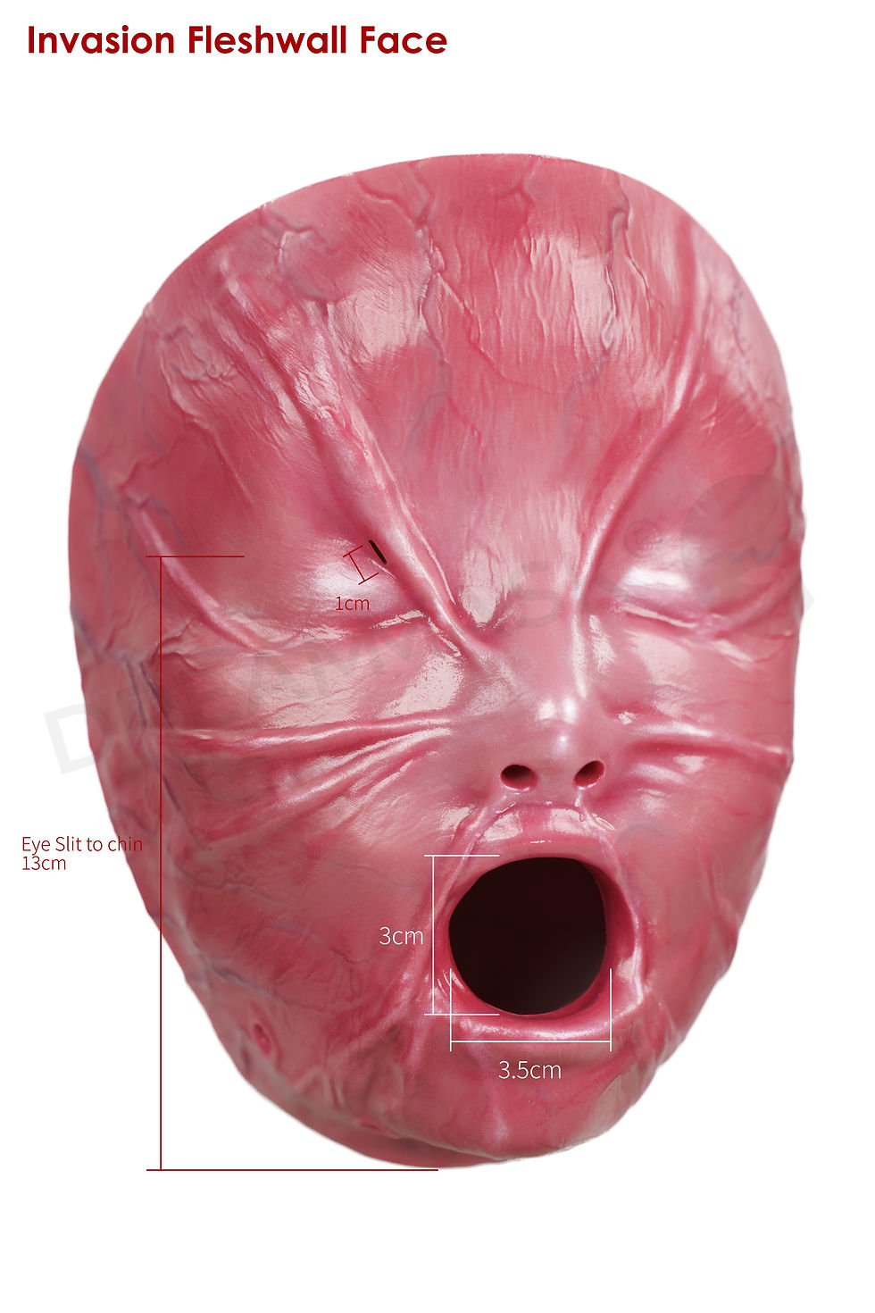 縮圖：M31 - Rubber Maiden Series Accessories Desire Mask