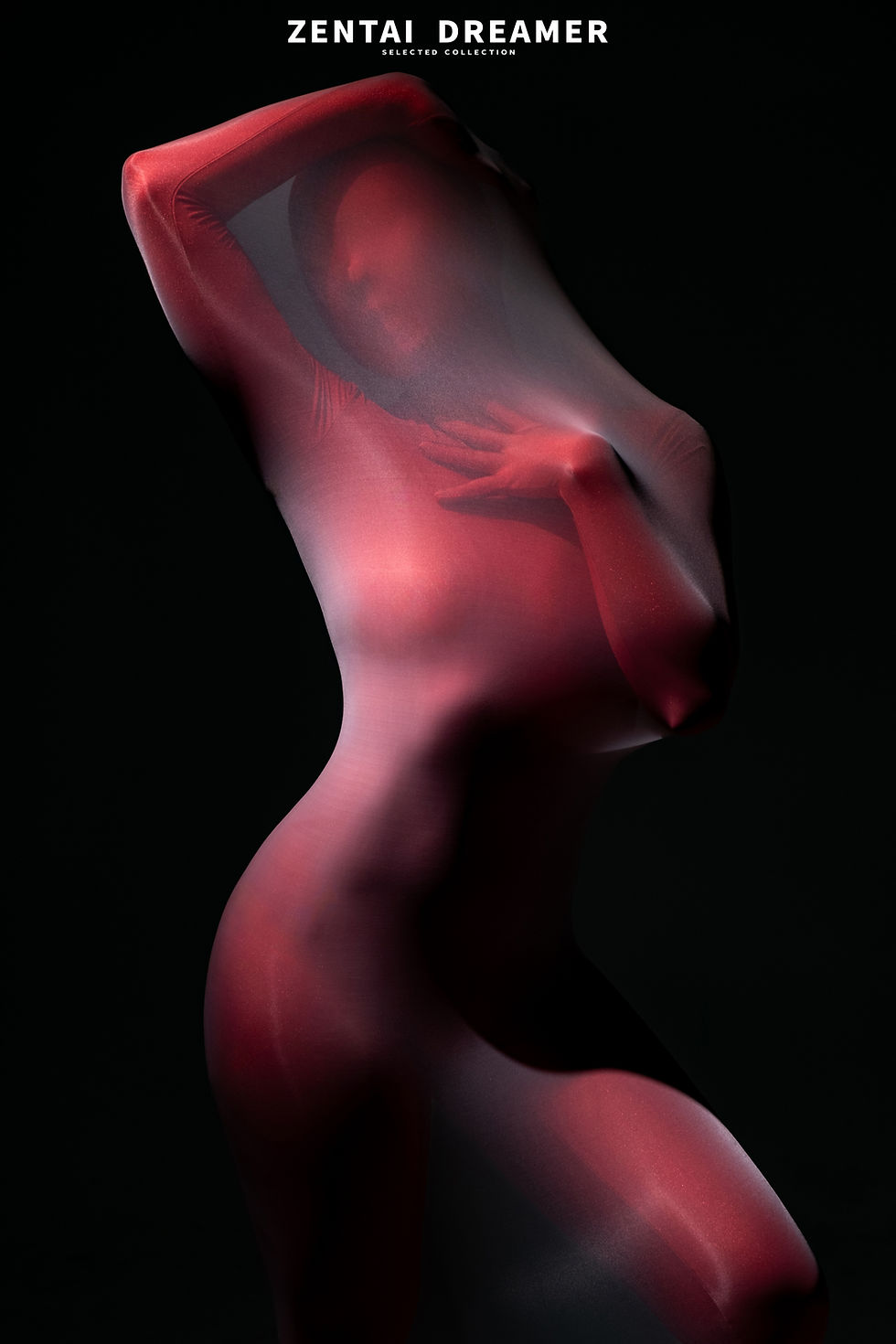 Thumbnail: ZD-S-SD Full-Body Encasement Nylon Cocoon ZD Premium Series