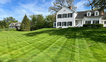 IMG_5484.jpg