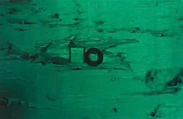 S__6430726_edited.jpg
