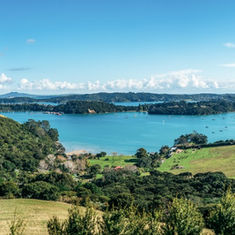 Waiheke Island: Where Community Action Powers Our Future