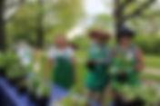 Crestview Garden Club of Elmhurst Annual Plant Sale