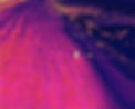 Person walking on a pink surface, aerial view, Drone-Exploration expertise certifiée réglementaire.
