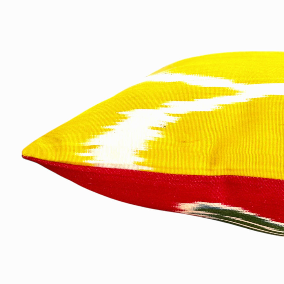 Housse de coussin réversible en soie PLAMA de la marque Empires