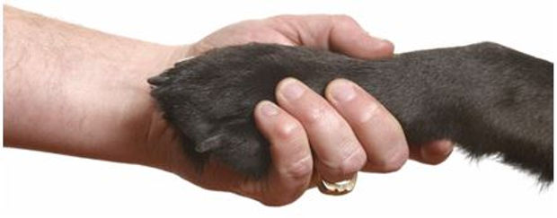 PawHand.JPG