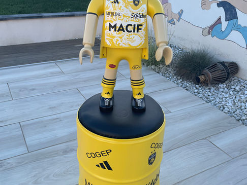 PLAYMOBIL Stade Rochelais 2024/2025