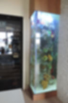 Akrylowy akwarium w mieszkaniu.