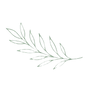 Green Leaf