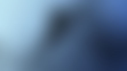 Maximising Margin on Amazon Vendor