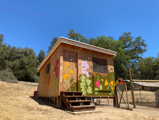 CHICKEN COOP MURAL