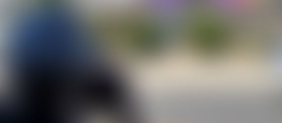 MARTHA COOPER - MEME x POLEN