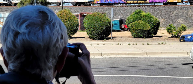 MARTHA COOPER - MEME x POLEN