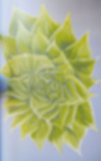 Succulent Mural