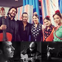 Noche Flamenca