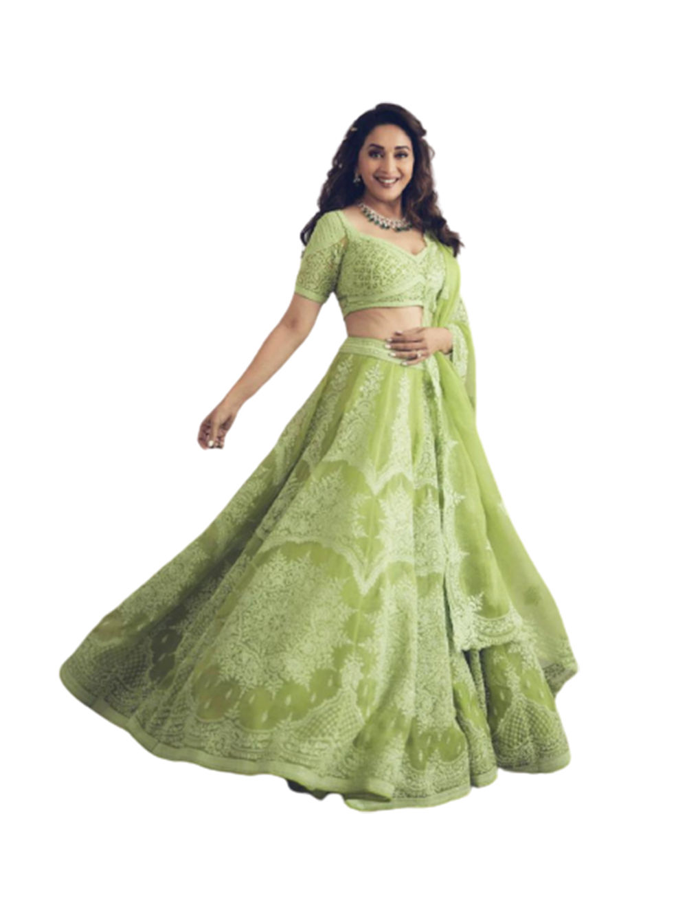Pista Green Net Embroidered Lehenga Choli