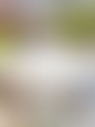 Blue & Yellow Soiree with Les Couleurs