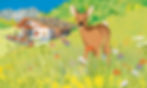 _Kitzalm_Frühling_Sommer.jpg