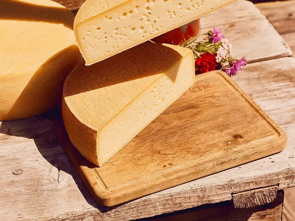 Mehrere Stücke gelber Käse, halbe Laibe mit Löchern auf Holzbrett.