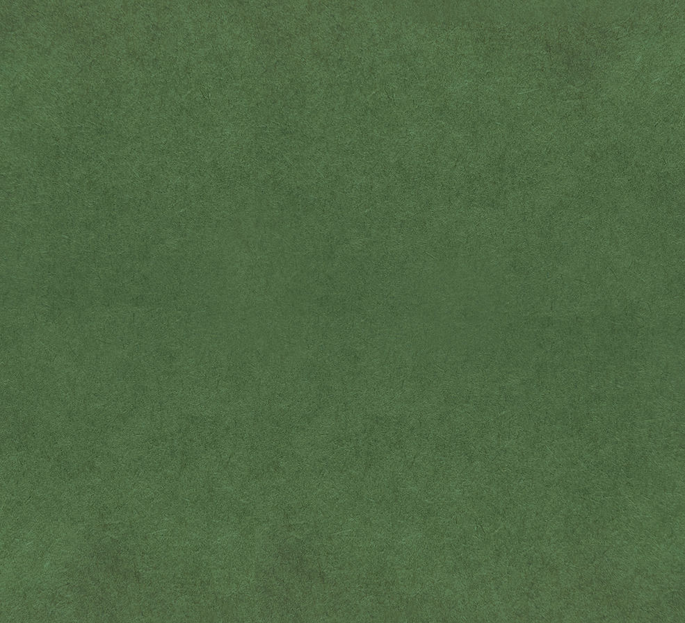 rz_gruenerBackground_final_1000px_2.jpg