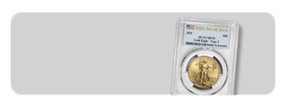 Coins Button.png