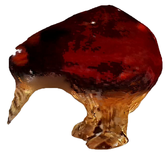 Kiwi-bird.png