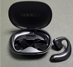 Thumbnail: Bluetooth Smart Translation Earbuds