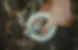 Herb.webp