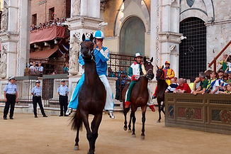 horse-racing-gf07184675_1920.jpg