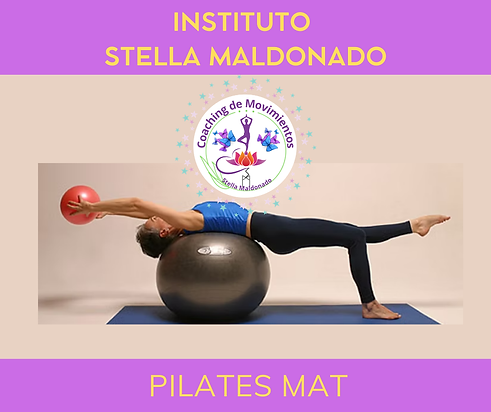 pilates mat 2.png